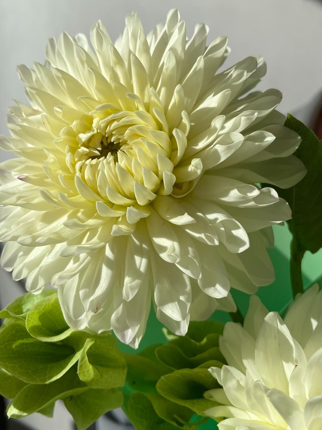 БУКЕТ 600