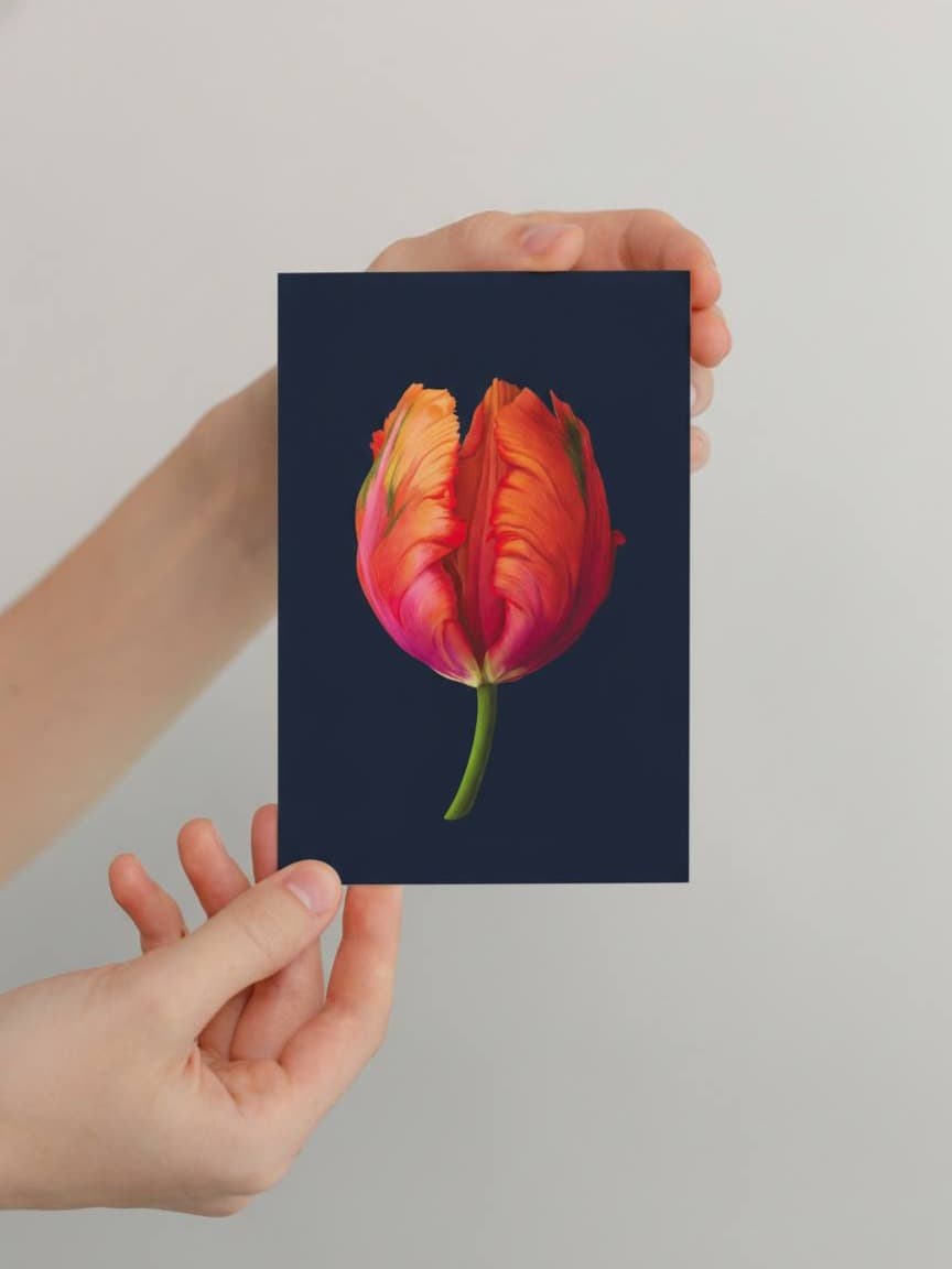 Открытка "Тюльпан: Pink parrot"